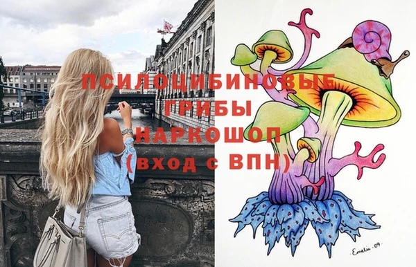 стаф Белоозёрский