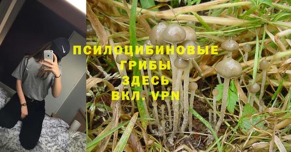 стаф Белоозёрский